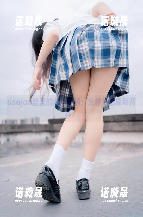 usejan蓝蓝 usejan蓝蓝的网盘奇遇:连帽衫也能玩花样?