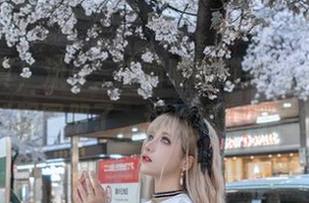 假装认真，流一_喵喵喵喵喵喵又来发布最新制服图册了，这次还挺好看的。