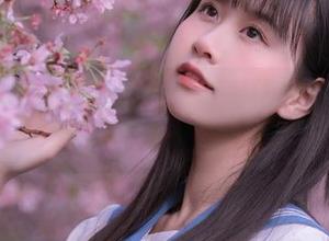 萌芽儿o0的作品探险：踩着银杏叶，分享春天的黄风铃